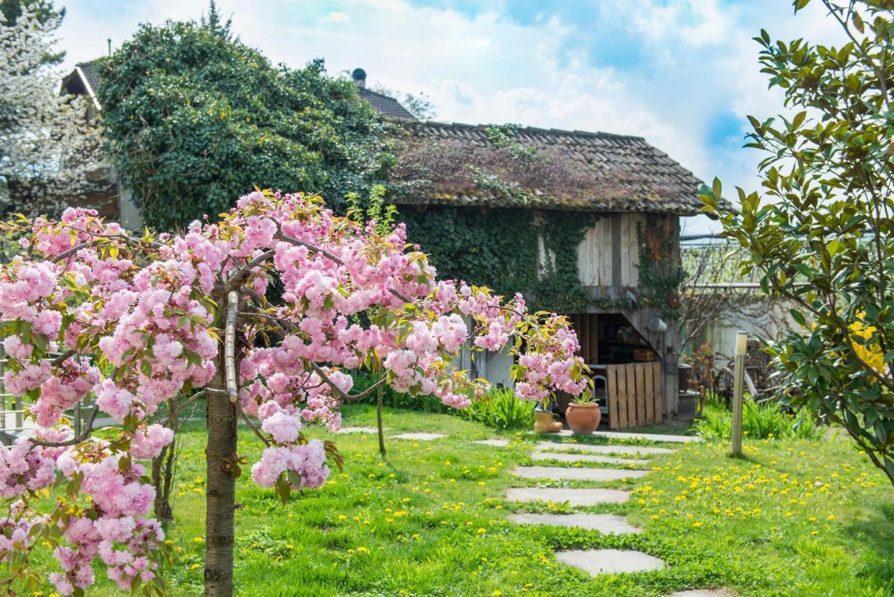 Villa Sonnenschein Терлано Екстер'єр фото